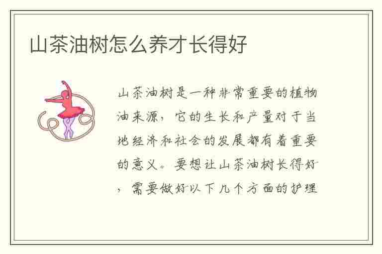 山茶油树怎么养才长得好(山茶油树怎么养才长得好呢)